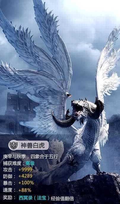 一代宗师和百年武林:为什么传统武术不能实战了?